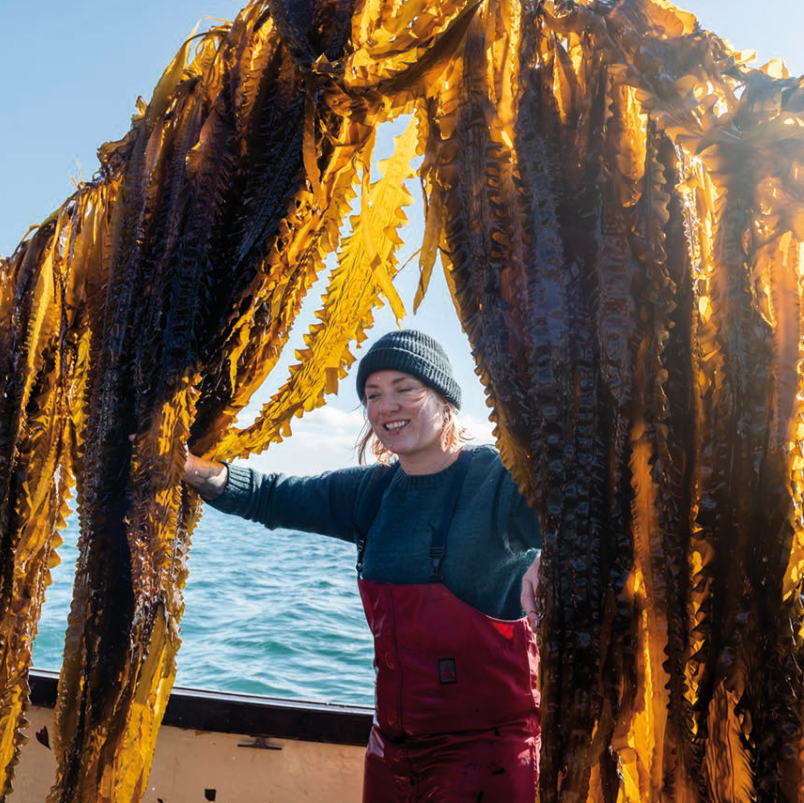 Islander Kelp Relish